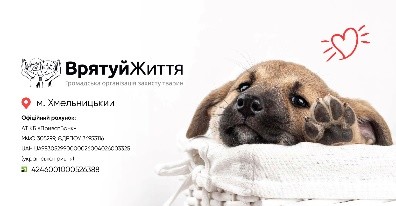 Логотип